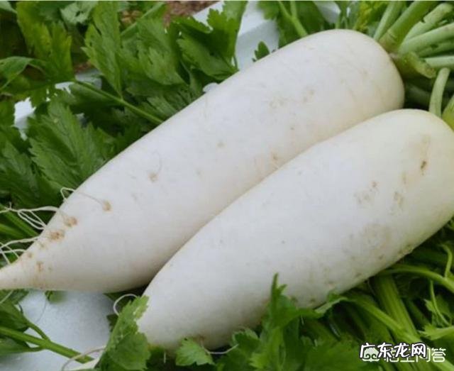 一个不喜欢运动的胖子，如何才能减肥