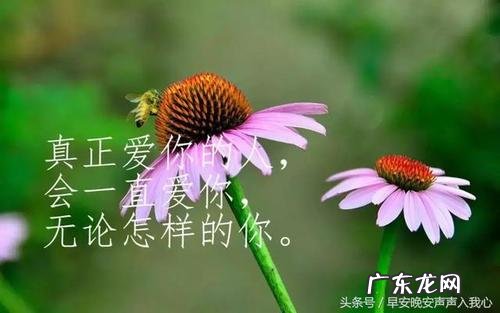 感悟人生的好句子大全 【抖音文案】感悟人生的好句子