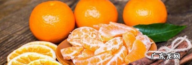 小狗的的身上虱子过多？送您好好几个“小秘方”，轻松去除虱子