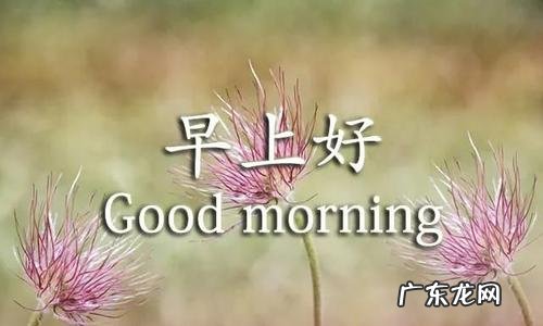 早上好的句子短语微信 【抖音文案】早上好的句子短语