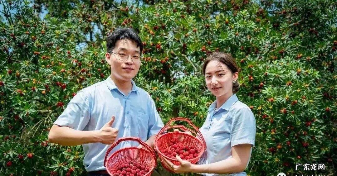 2021年三大赚钱的行业 2021商机有可能是什么