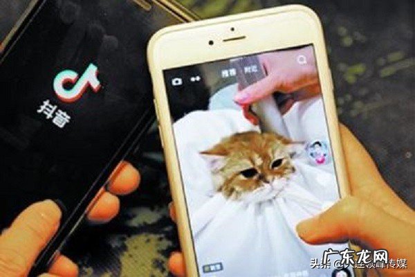 抖音100w赞多少收入,抖音1w赞多少钱?