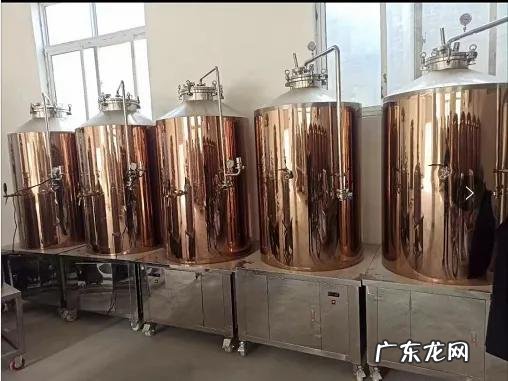 自酿鲜啤酒设备大概多少钱?选择哪款精酿啤酒设备好呢?