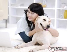 小狗几类病症会传染人们