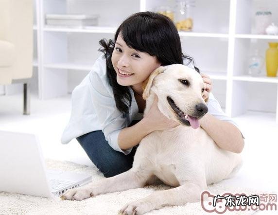 小狗几类病症会传染人们