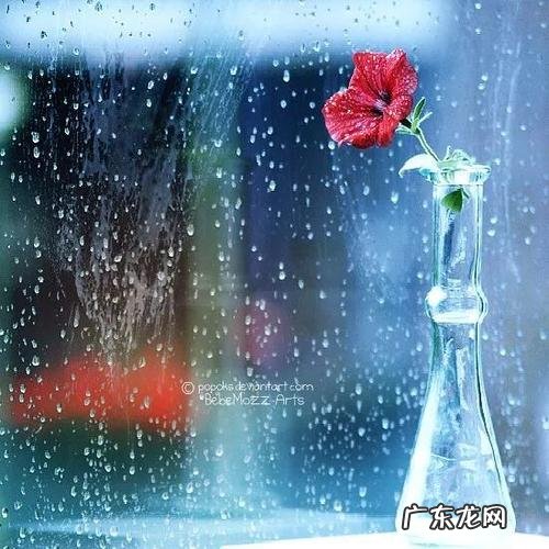 感情失落句子表达心情短句 【抖音文案】心情失落感言短句