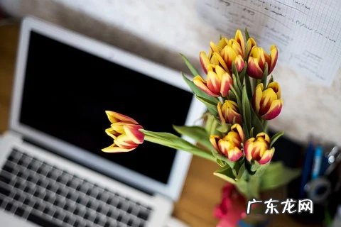 淘宝咋做好手淘流量?分配流量的目的是啥?