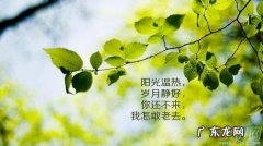 人生哲理的句子唯美短句 【抖音文案】人生哲理句子精辟短句