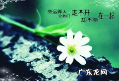 心情不好的时候写的句子 【抖音文案】写一段心情不好的句子