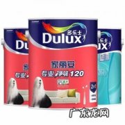 多乐士家丽安净味120二合一价格 多乐士家丽安净味