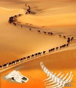 社会主义先进文化——丝绸之路精神与意义