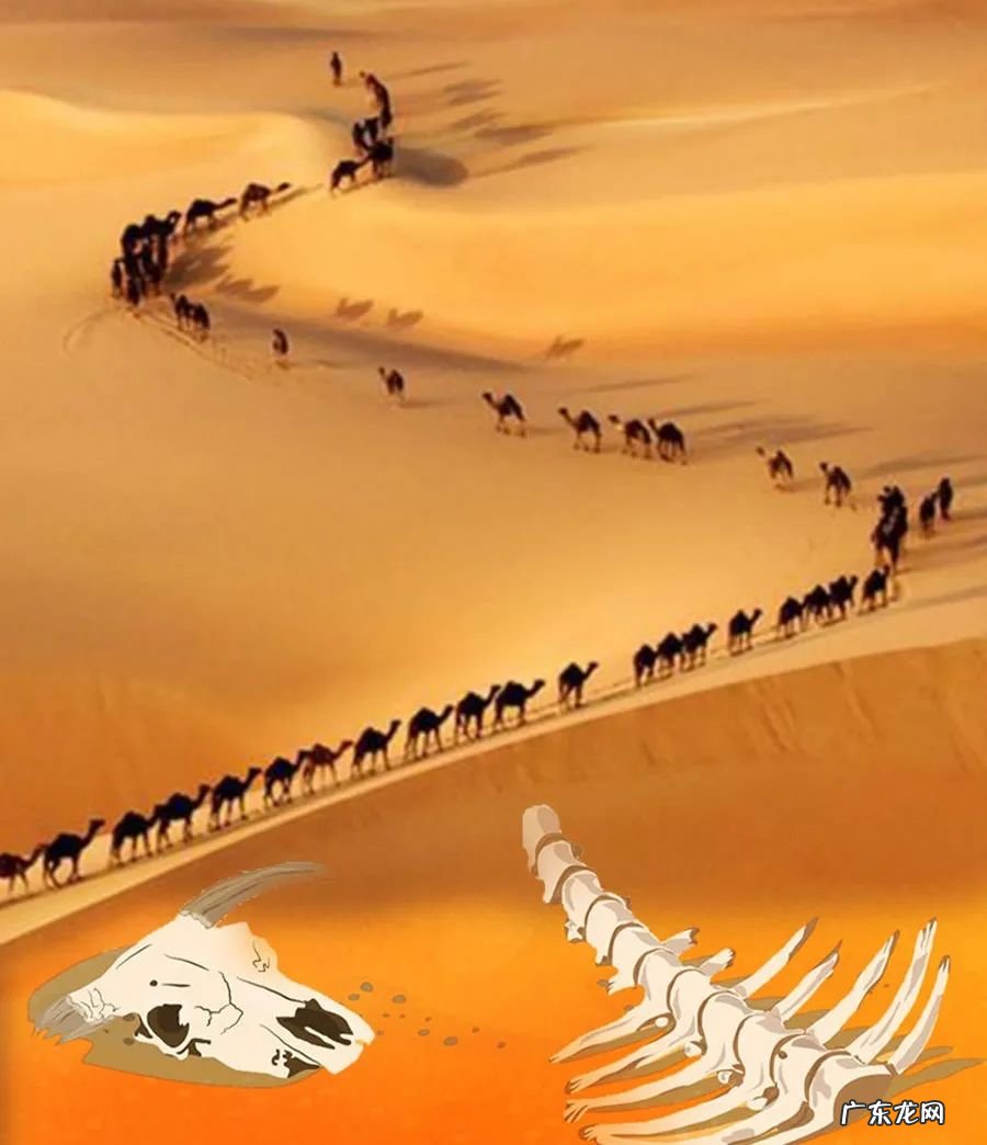 社会主义先进文化——丝绸之路精神与意义