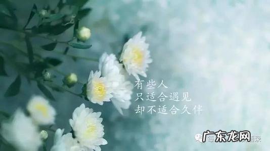 发朋友圈句子大全 心情 【抖音文案】发朋友圈句子