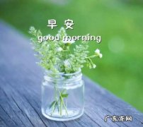 发朋友圈句子大全 心情 【抖音文案】发朋友圈句子