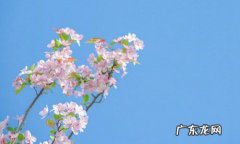 春天的句子短句10字以下 【抖音文案】春天的句子短句10字