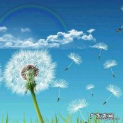 一句话赞美山景 【抖音文案】用一句话来赞美风