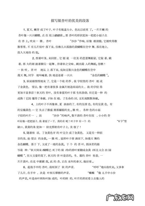 描写夏天的银杏树的优美句子 【抖音文案】描写银杏树春天的优美句子作文