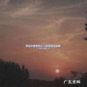 2020最火情感语录长句 【抖音文案】2020最火情感语录短句思念