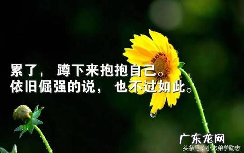 鼓励孩子继续努力的句子30个字左右 【抖音文案】鼓励人继续努力的句子句句励志