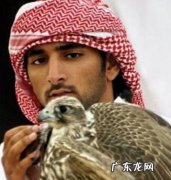 哈曼丹王储到过中国吗 哈曼丹王储