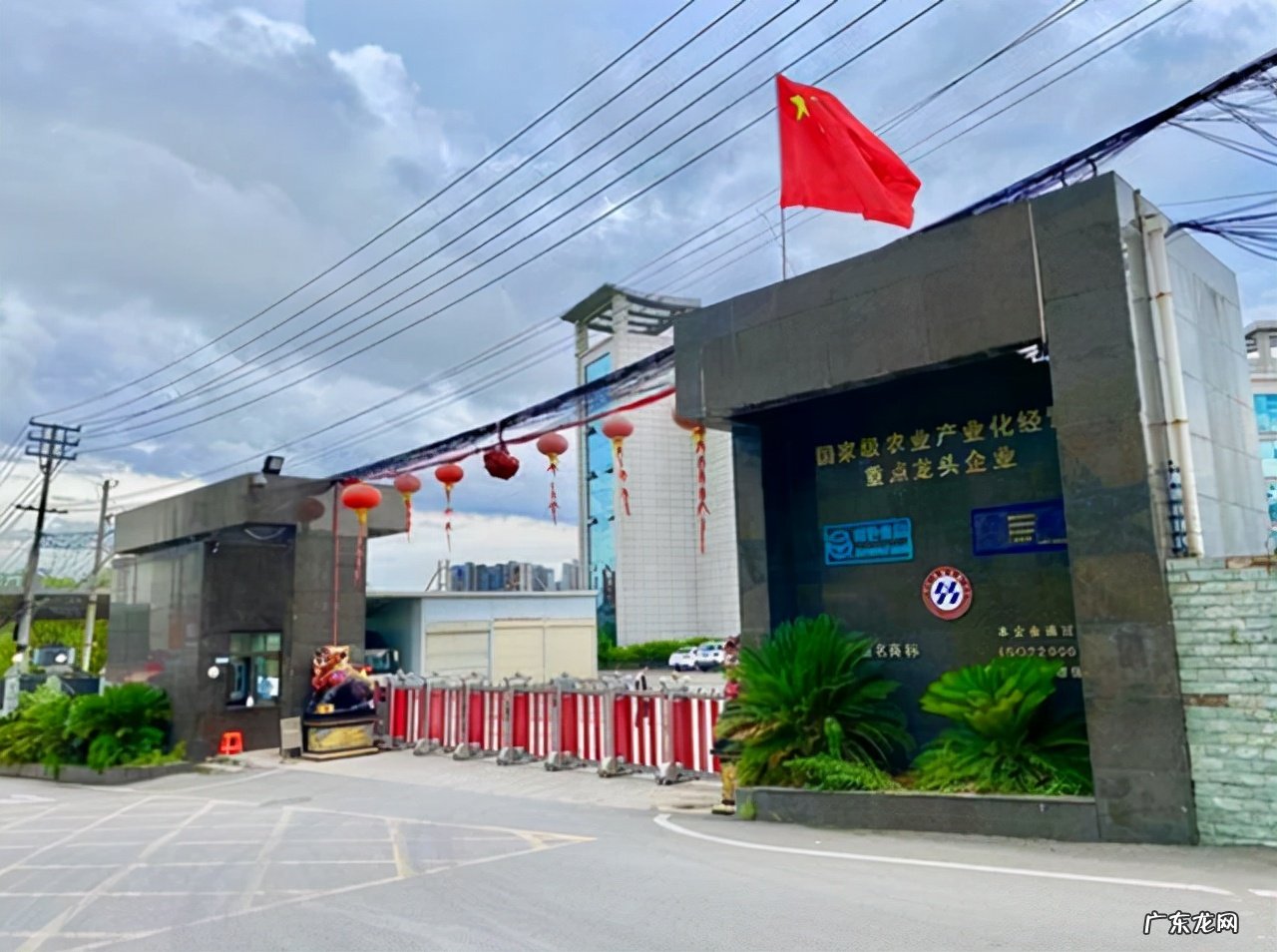 老干妈创始人的故事 老干妈陶华碧是哪里人