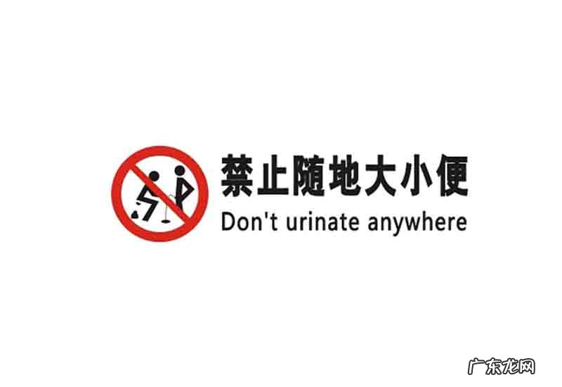 海尔张瑞敏发展简介 海尔总裁是谁