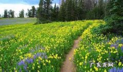 小学生描写春天景色的优美句子 【抖音文案】春天景色的优美句子