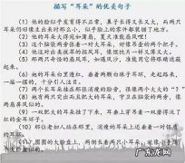 【抖音文案】小学生优美好句大全