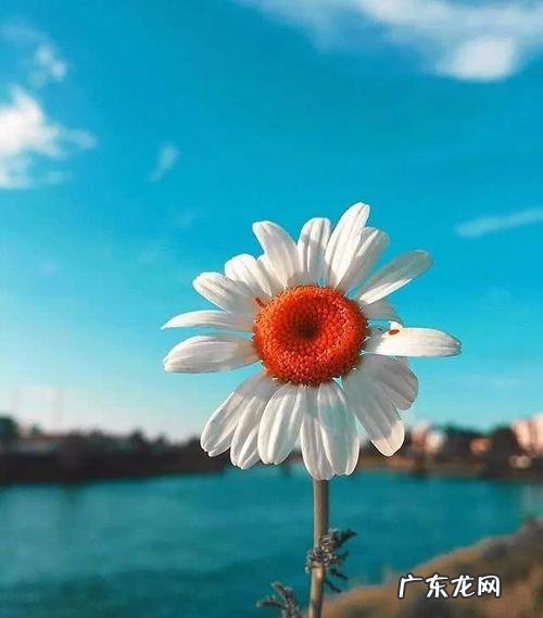 人生感悟哲理的句子说说心情 【抖音文案】人生感悟的句子心情