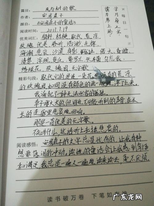 目瞪口呆写句子50字 【抖音文案】写风的句子50字