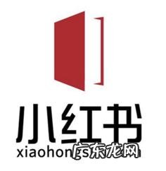 未来跨境电商百亿企业TOP5