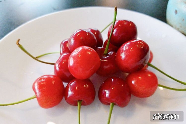 智利樱桃是车厘子么?有什么区别?