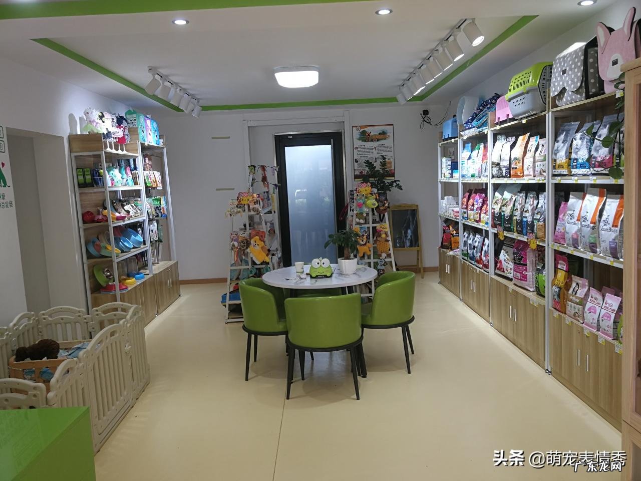 宠物用品店利润及前景分析 开宠物用品超市怎么样