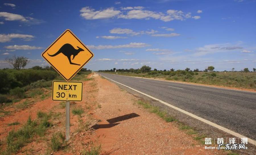 10大海外租车公司测评 境外租车平台哪个好