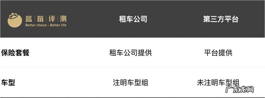 10大海外租车公司测评 境外租车平台哪个好