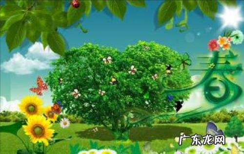 一年四季的优美句子 【抖音文案】一年四季季节简短句子
