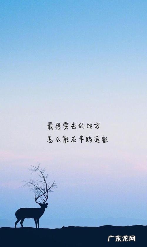 名人名言励志语录经典短句 【抖音文案】孤独语录经典短句