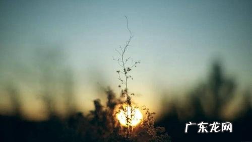 【抖音文案】友情情话最暖心短句