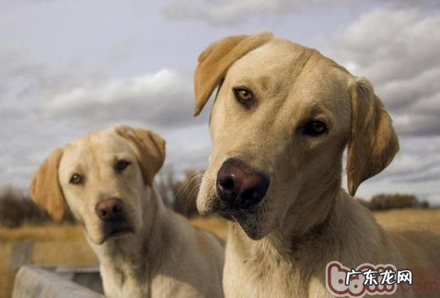 网民在网上医药咨询必须出示的数据信息