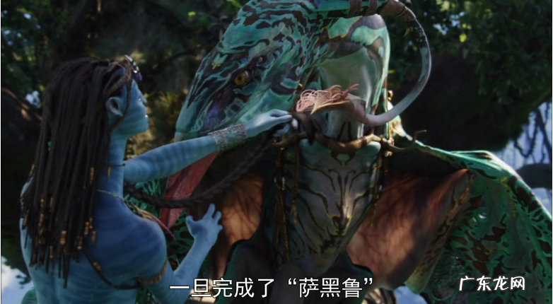《阿凡达》这部单单是投资就高达5亿美元,果然不简单
