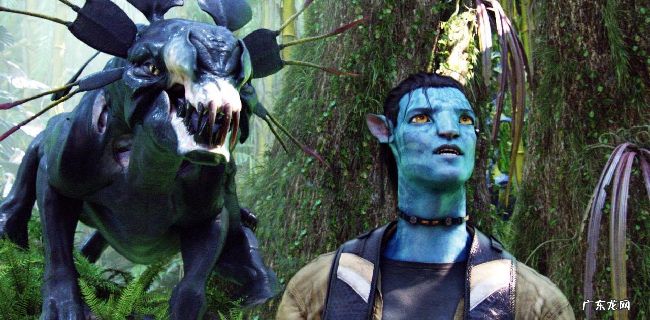 《阿凡达》这部单单是投资就高达5亿美元,果然不简单