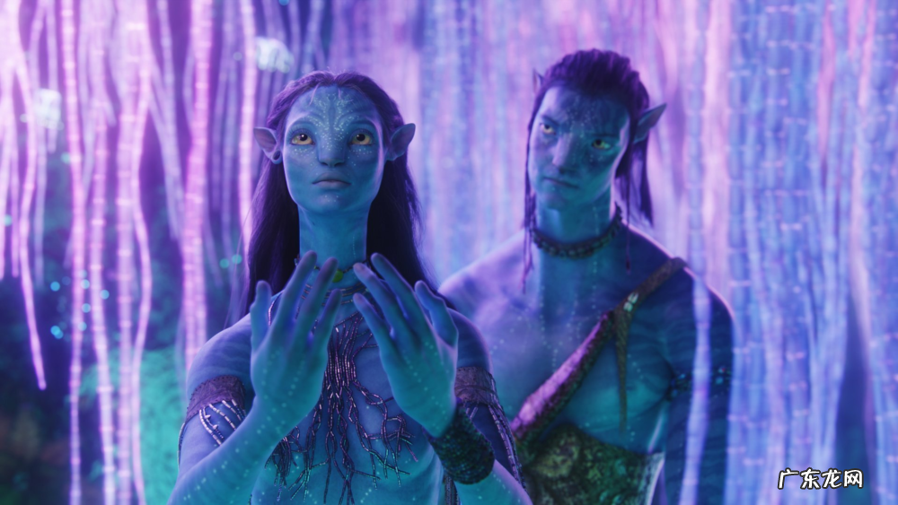 《阿凡达》这部单单是投资就高达5亿美元，果然不简单