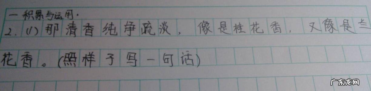 比喻一个人眼睛小的比喻句 【抖音文案】用眼睛写比喻句