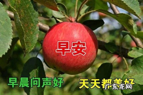 秋天早晨心情愉快唯美句子 【抖音文案】早晨心情愉快唯美句子