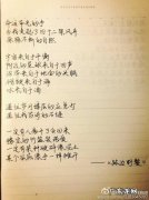 【抖音文案】以前的眼睛里有光的句子