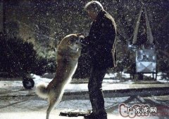 有1/4的小狗中老年人以后会得心脏疾病