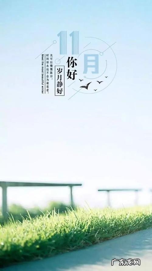 描写十一月的优美句子 【抖音文案】关于描写十一月的句子