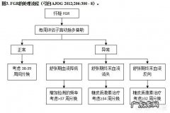 请问20+1胎儿偏小两周严重吗？