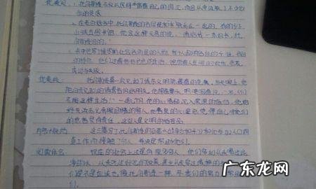 夏天美句摘抄大全 【抖音文案】有关夏天的好句摘抄