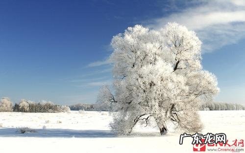 秋天转冬天的句子短句唯美 【抖音文案】冬天下雪的句子短句唯美